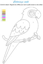 Coloriage codé, un perroquet
