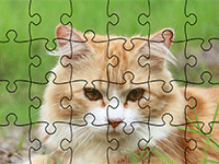 Puzzle en ligne, les chats