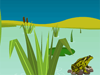 Crapaud, t'es pas beau