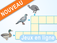 Mots croisés en ligne pour enfants