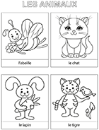 Pages d'animaux à colorier