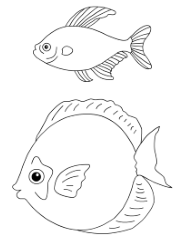 Coloriage à imprimer, des poissons