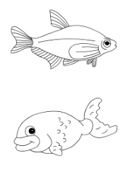 Coloriage à imprimer, des poissons