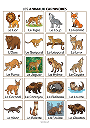 Fiche de vocabulaire sur le thème des différents animaux carnivores à imprimer