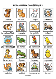 Fiche de vocabulaire sur le thème des différents animaux de compagnie à imprimer