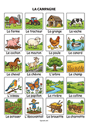 Fiche de vocabulaire à imprimer sur le thème de la campagne