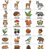 Fiche de vocabulaire à imprimer, la forêt