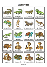 Fiche de vocabulaire sur le thème des reptiles à imprimer