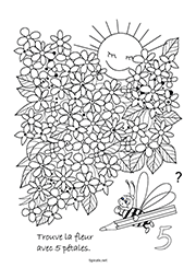 Chercher et trouver la fleur à 5 pétales, maternelle