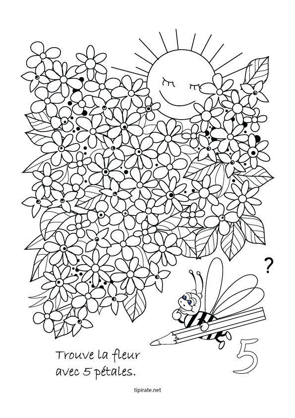 Jeu à imprimer, maternelle. Trouver la fleur à 5 pétales