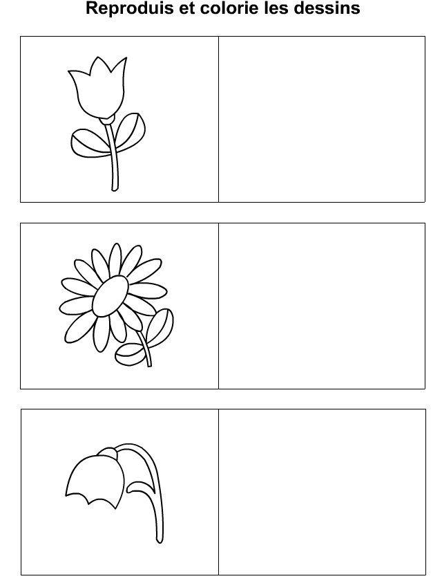 Apprendre à dessiner des fleurs