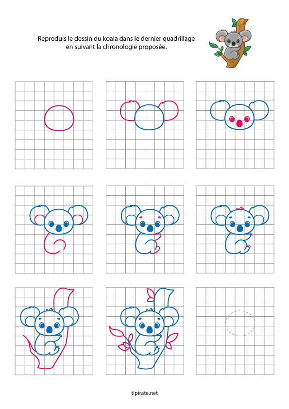 Apprendre à dessiner un koala