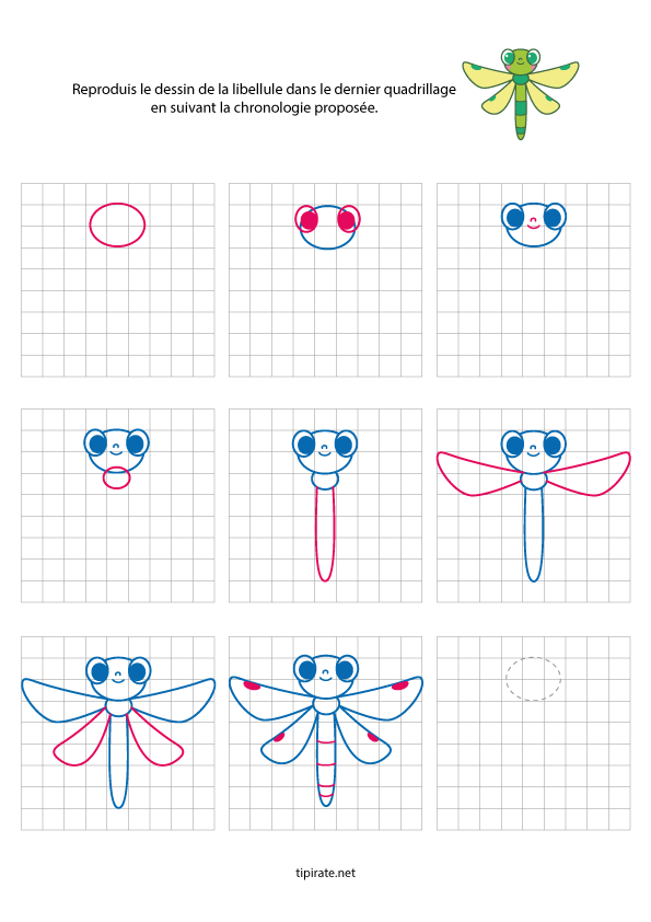 Une libellule Apprendre à dessiner une libellule