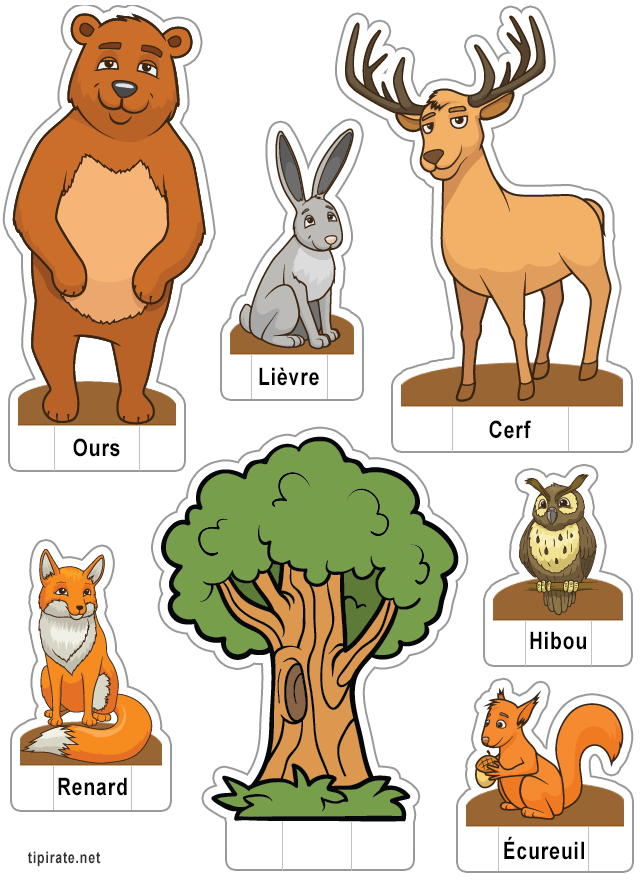 Apprendre les noms des animaux de la forêt,  le lièvre, l'ours, le hibou, le renard, l'écureuil et le cerf 