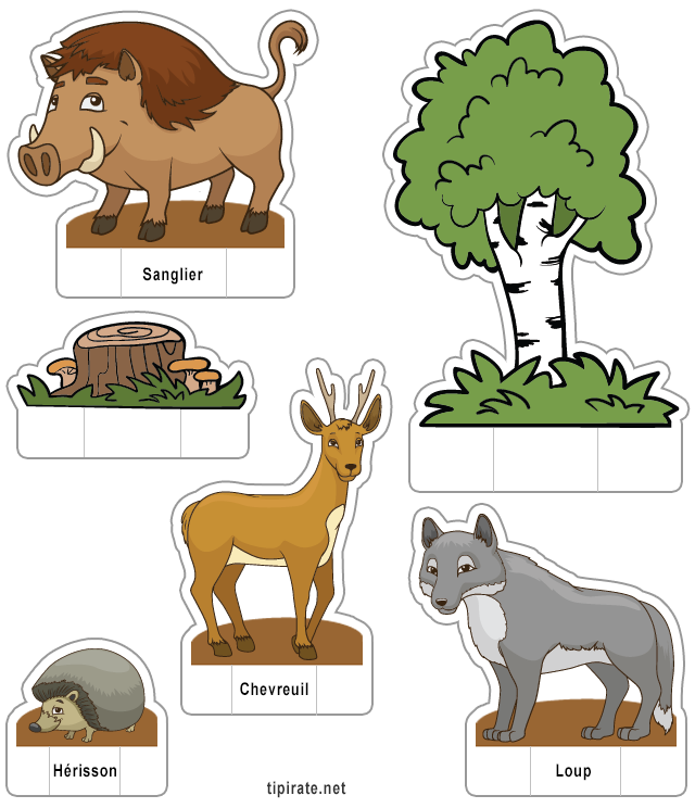 Apprendre les noms des animaux de la forêt,  le sanglier, le chevreuil, le loup et le hérisson 