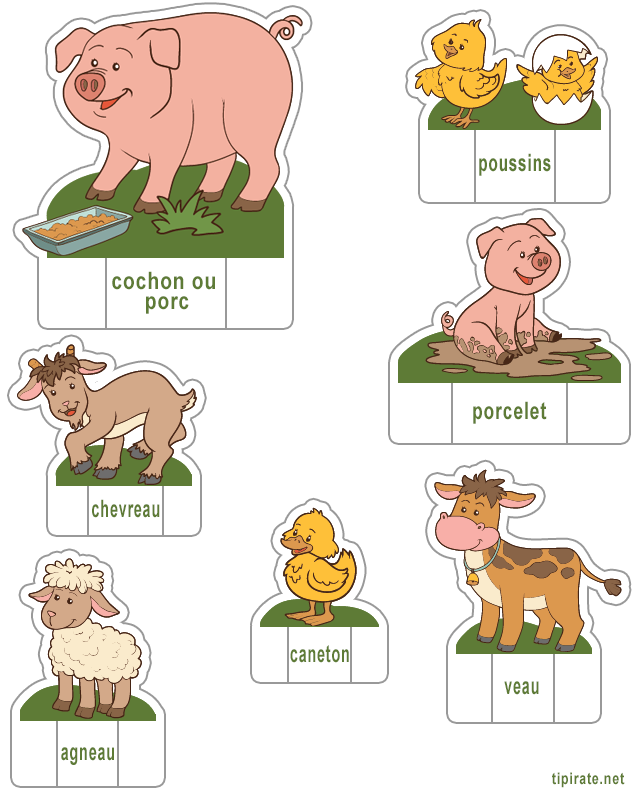 Les animaux de la ferme,  cochon, poussins, porcelet, chevreau, agneau, caneton, veau