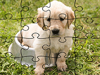 Puzzles 16 pièces en ligne, les chiens